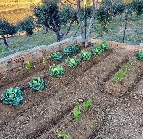 مبيت وإفطار Bed And Adventure Tramontana Resort   Camera Vista