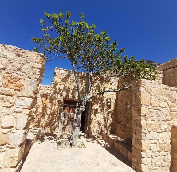 هتل Fig Tree