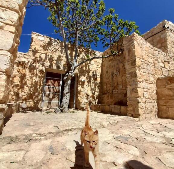 هتل Fig Tree