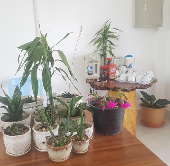 בית מלון כפרי Narixay