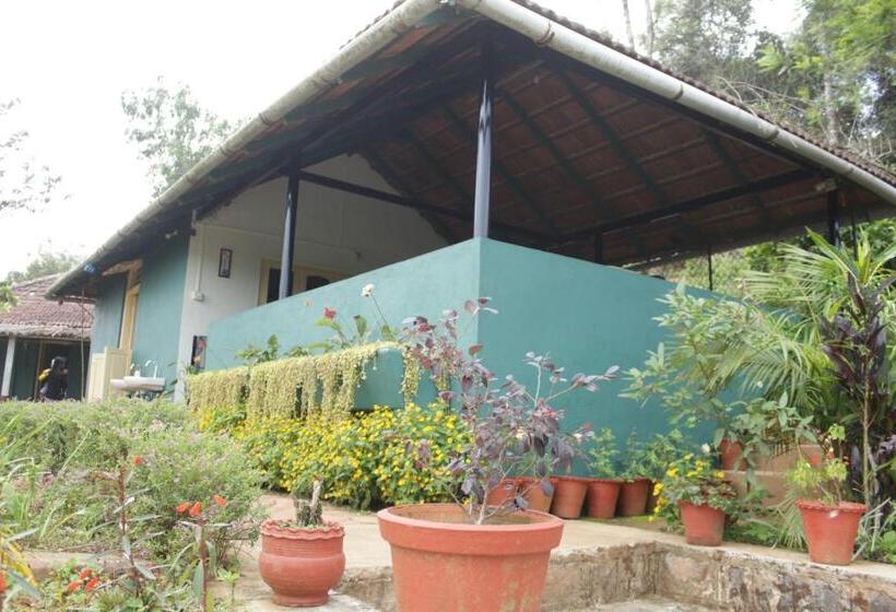 膳宿费 Madhuvana Guest House