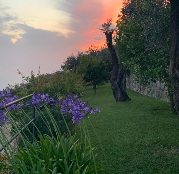 پانسیون Sea View