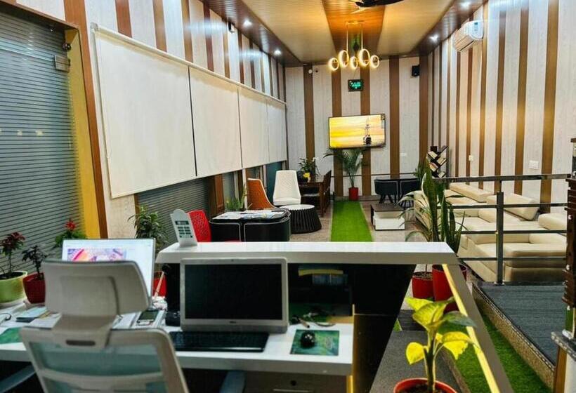 פנסיון Cohouse