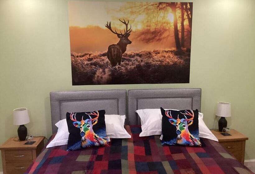 Taigh Sealladh Fèidh B&b