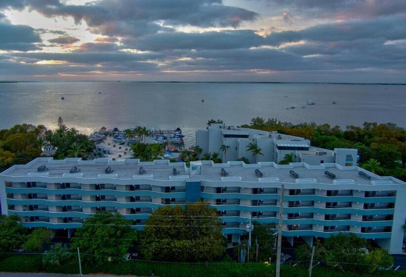 2br In Key Largo W Pool And Sunset Views