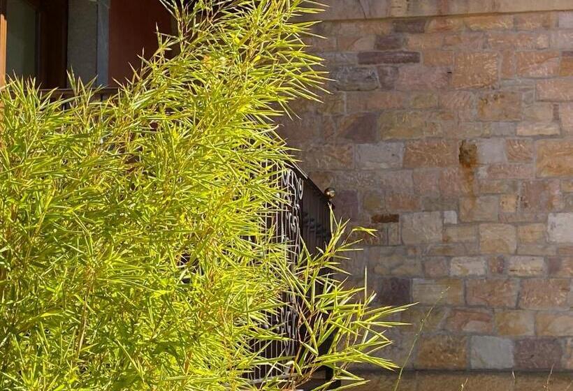هتل Apartamentos Calm & Nature   Adults Only