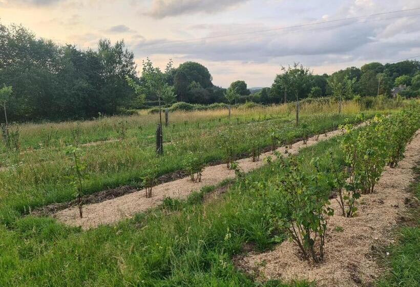 호텔 Chambre à La Ferme, Les Vergers Du Muscardin