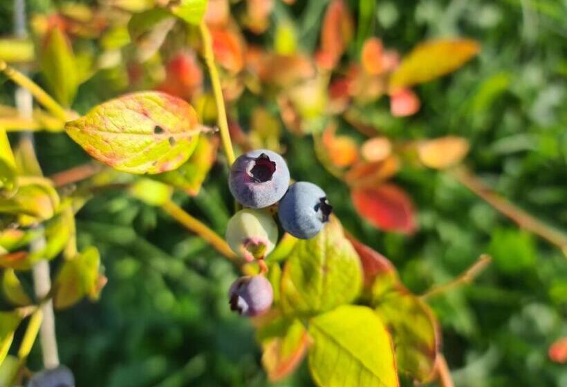호텔 Chambre à La Ferme, Les Vergers Du Muscardin
