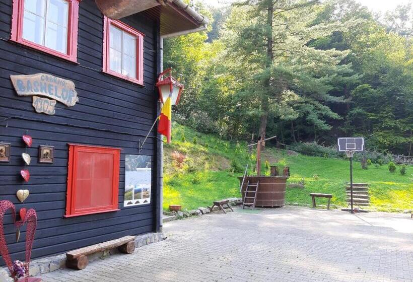 بنسيون Cabana Basmelor Cu Ciubar
