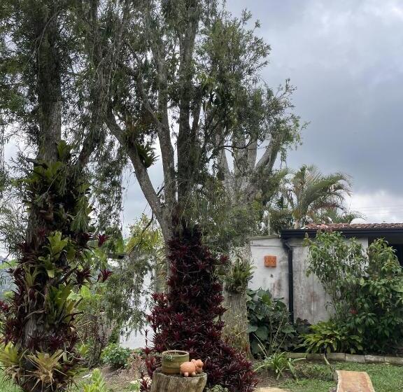 پانسیون Hostal Greenlandomesa