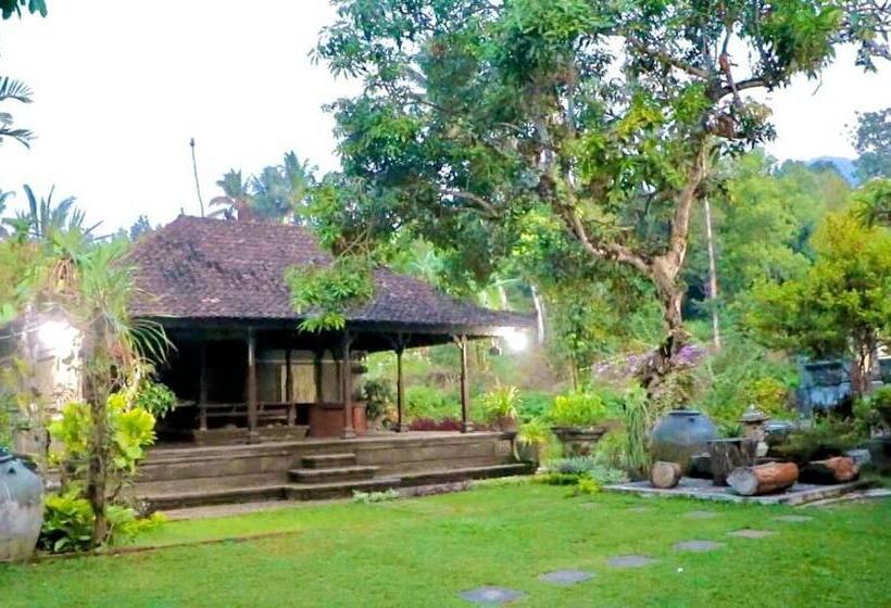 펜션 Mesari Cottage Guest House