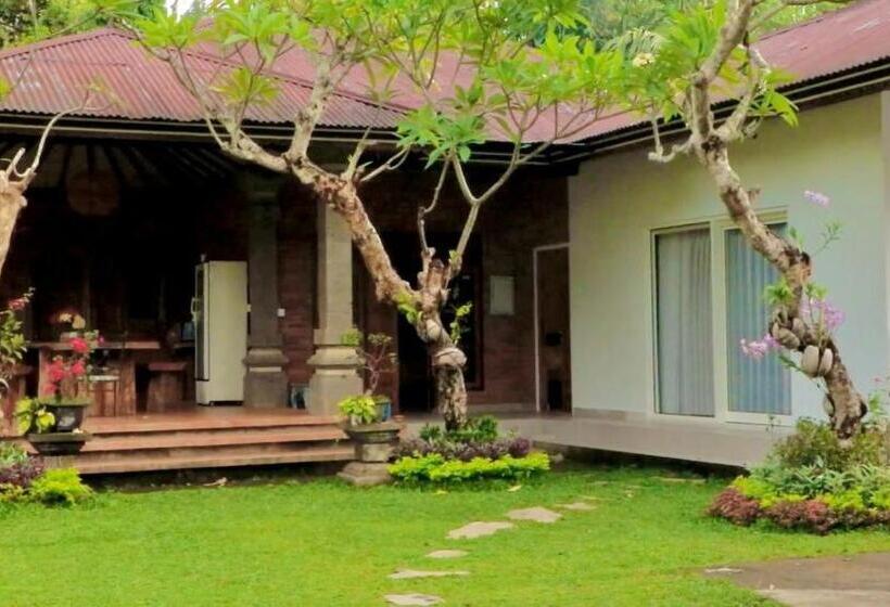 펜션 Mesari Cottage Guest House