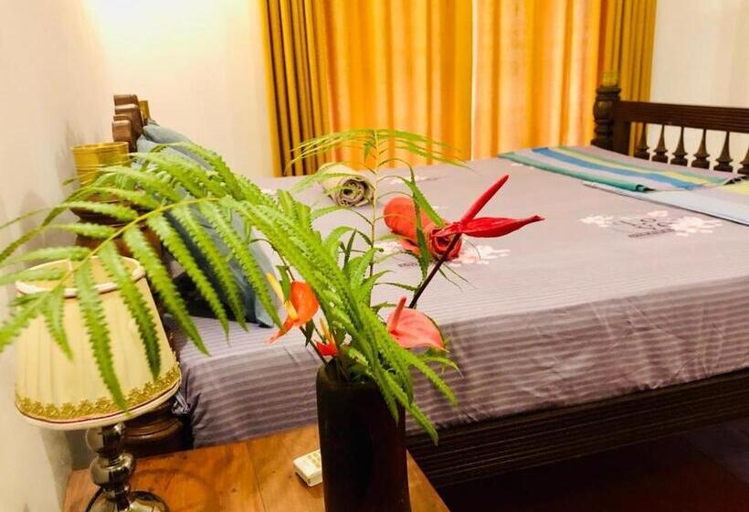 Bed and Breakfast Saman Resort Surfers Paradise