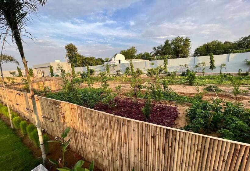 בית מלון כפרי Aarul Farms