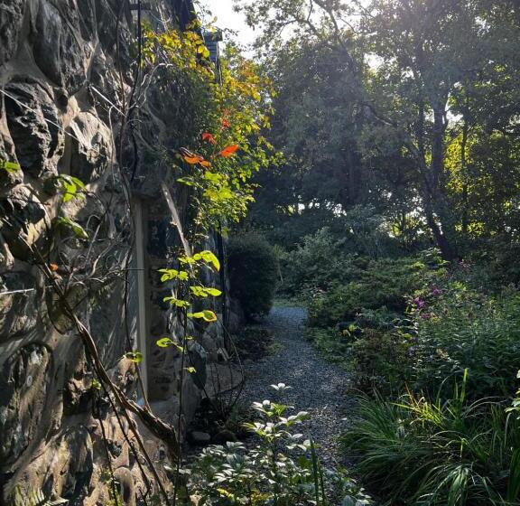 Old Mill Retreat, By River/sea/country Nr Barmouth Dogs