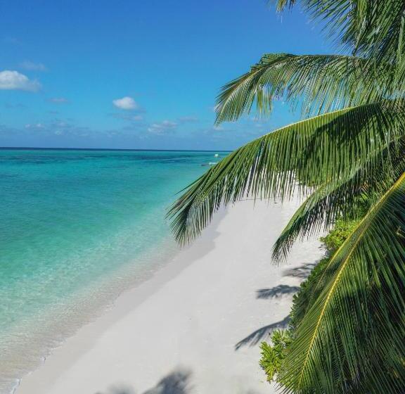 پانسیون White Rock Thoddoo