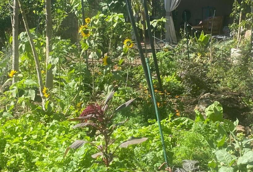 ベッドアンドブレックファースト Artsy Cabin On Organic Farm