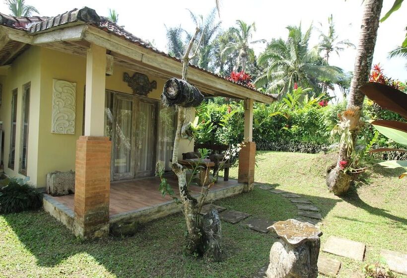 Bed and Breakfast Capital O 94012 Dewa Jati House