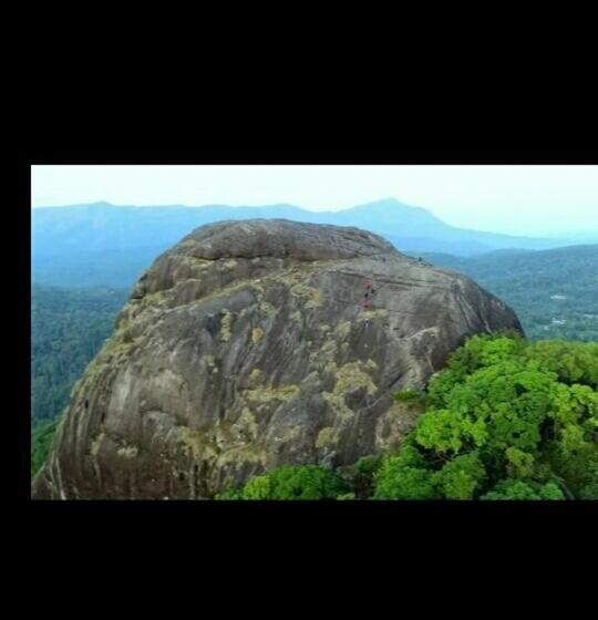 بنسيون Honey Beatle Homestay