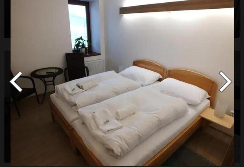 ペンション Penzion U Koruny