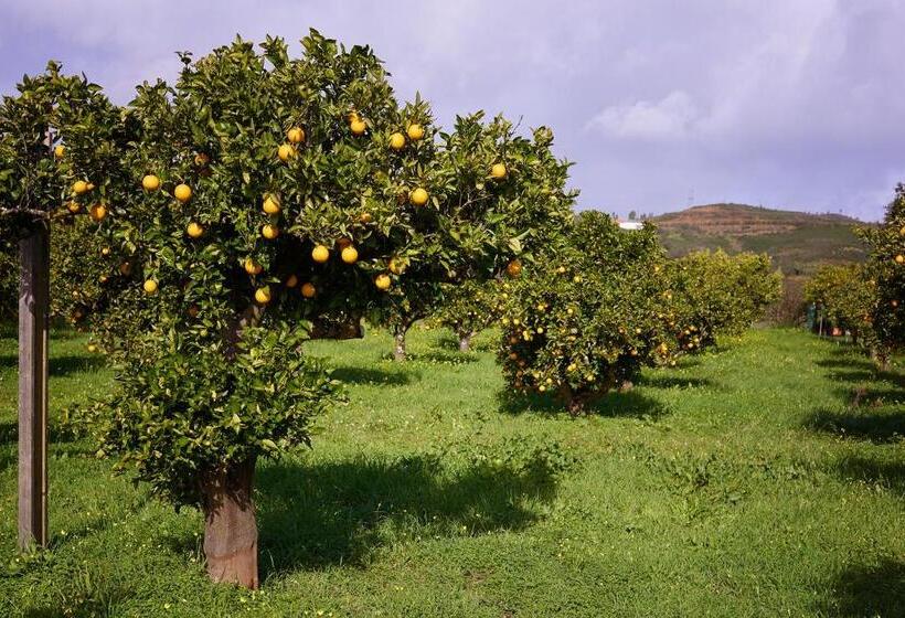 پانسیون Quinta Dos 4 Ventos