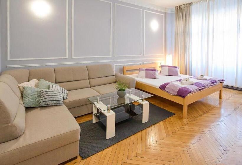 پانسیون Stodolní Apartment