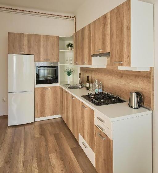 پانسیون Stodolní Apartment