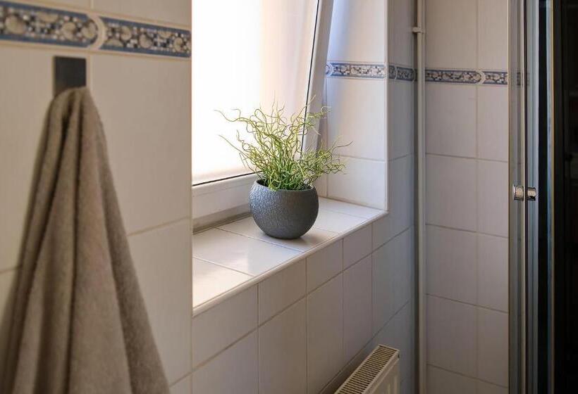 پانسیون Stodolní Apartment