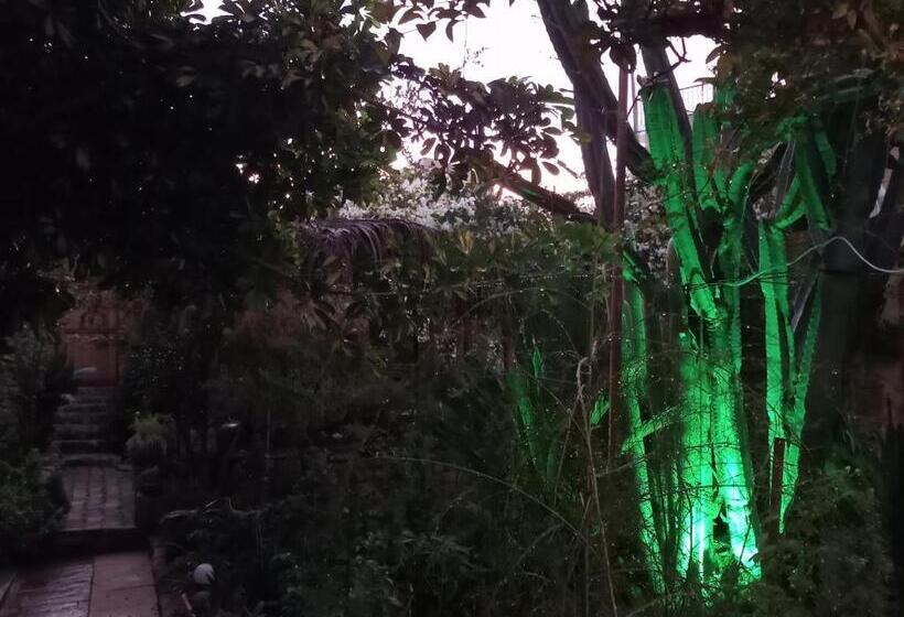 تختخواب و صبحانه Mystery Garden Guest House
