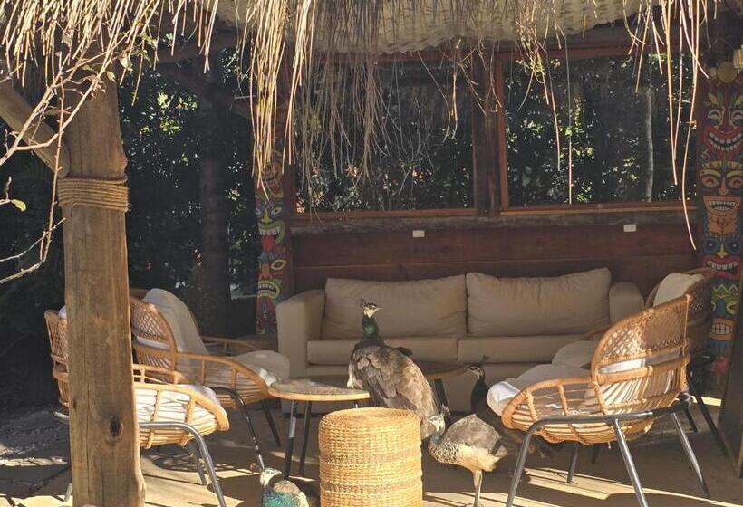 هتل Apartamentos Premium Con Yacuzzi Dunas Del Este