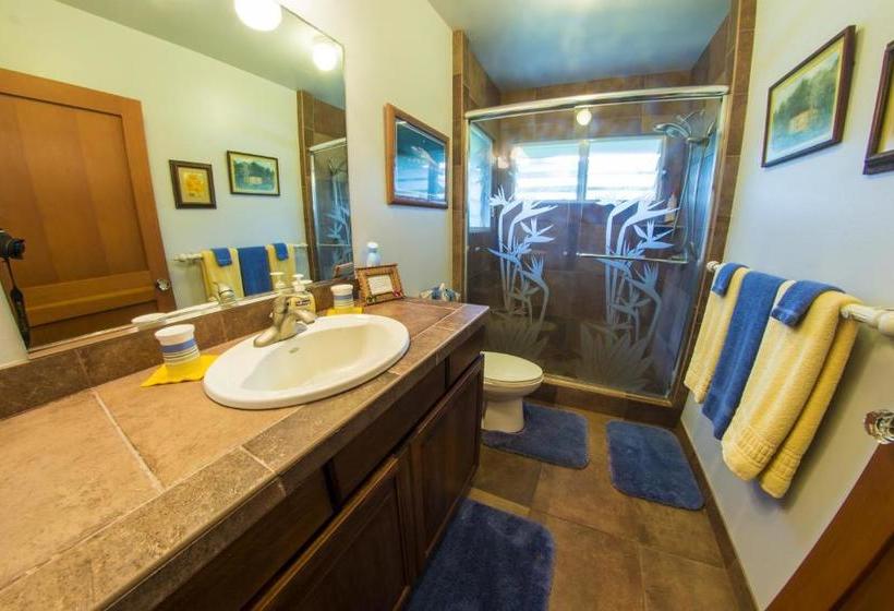 בית מלון כפרי Hale Ho O Maha Bed And Breakfast