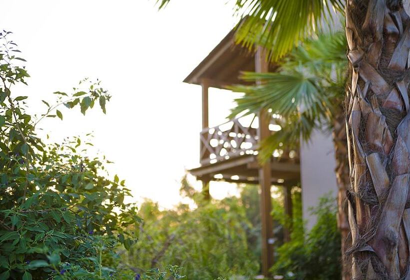 هتل The Lifeco Bodrum Well Being Center Adults Only