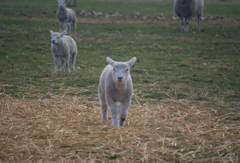 فندق Woodhouse Farm Lodge