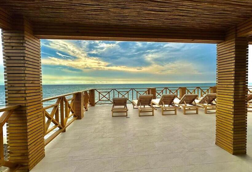 Apartamento   Suite, Frente Al Mar