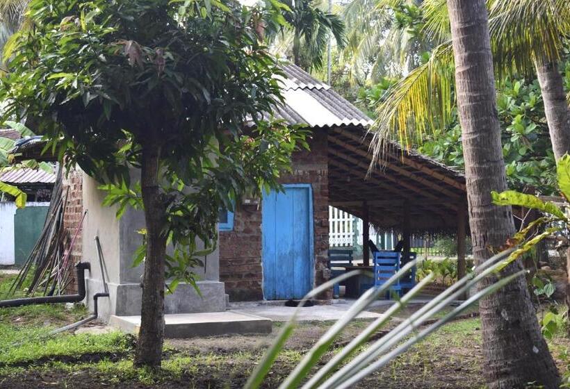 Chill House Hostel