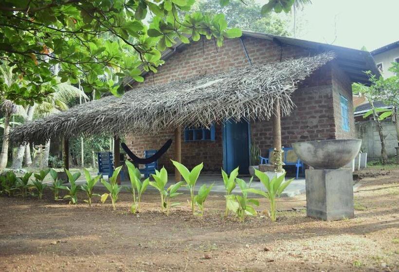 Chill House Hostel