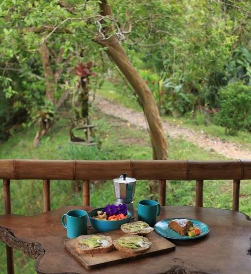 فندق Aracari Ecolodge