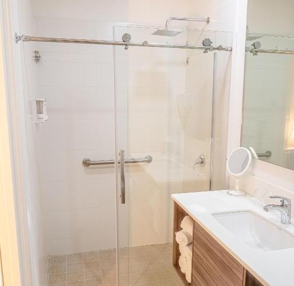 Aruba Boutique & Art Hotel, Bw Signature Collection Only Adults