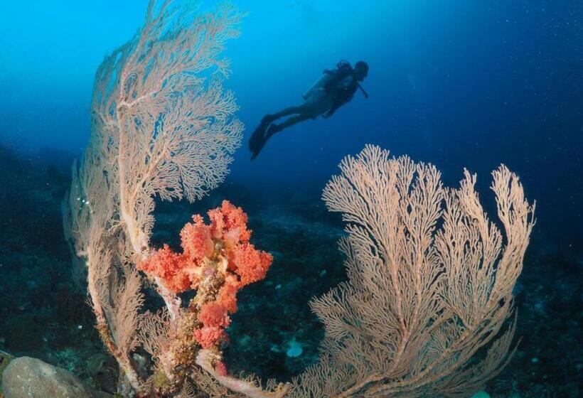 酒店 Liberty S Community Lodge And Diving