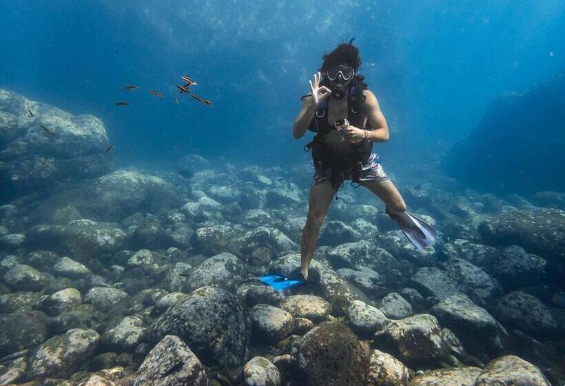 هتل Sealion Dive Center