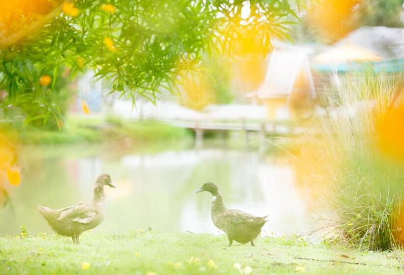 Farm House Boutique Pai