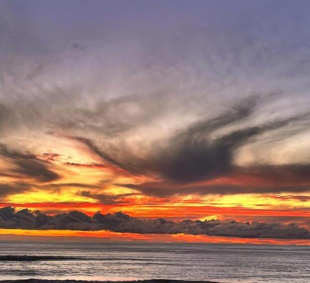 مبيت وإفطار View With A Room Nz   Boutique Beachfront Accommodation On The Great Coast Road