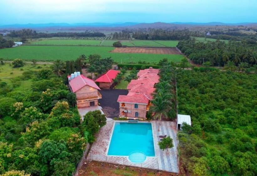 Отель Gir Night Resort