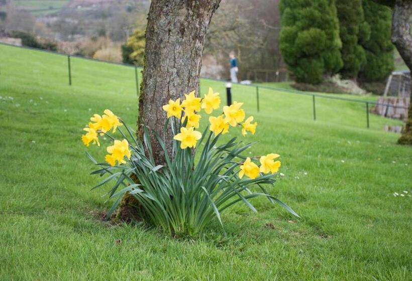 בית מלון כפרי Cliff College