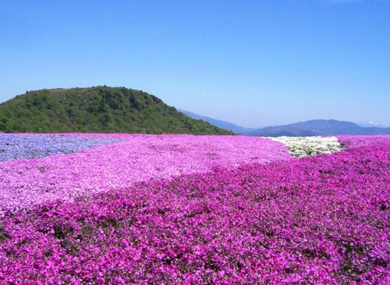 فندق Kyukamura Chausuyama Kogen
