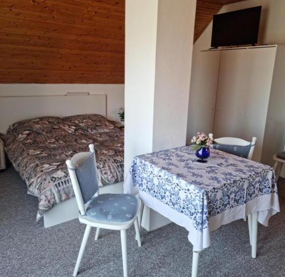 פנסיון Apartment