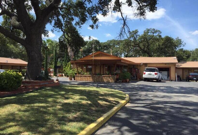 Walnutforestmotel