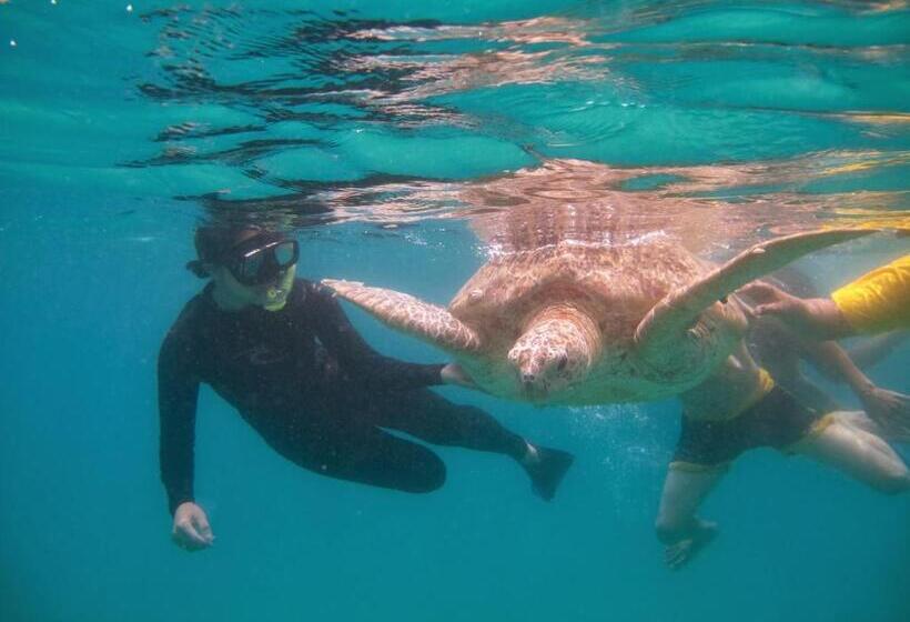 مبيت وإفطار Perhentian Chomel Chalet