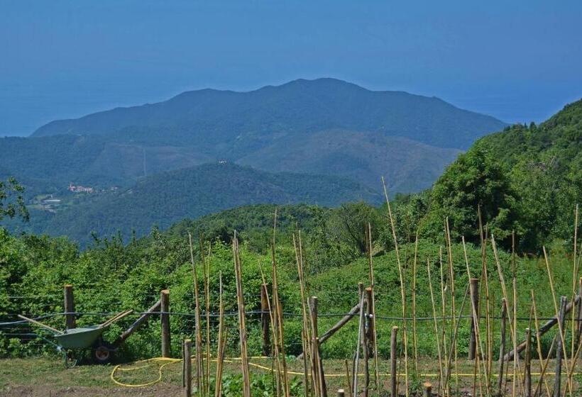 هتل Agriturismo Monte Pu