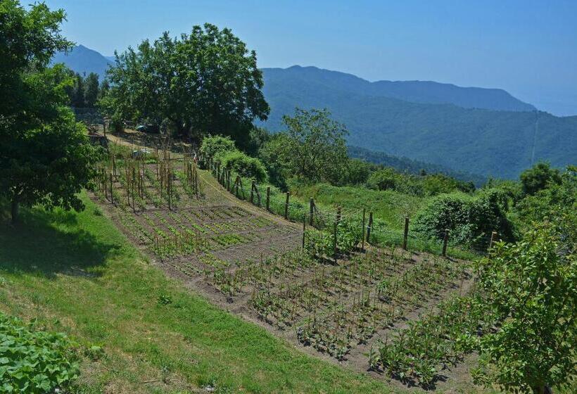 هتل Agriturismo Monte Pu